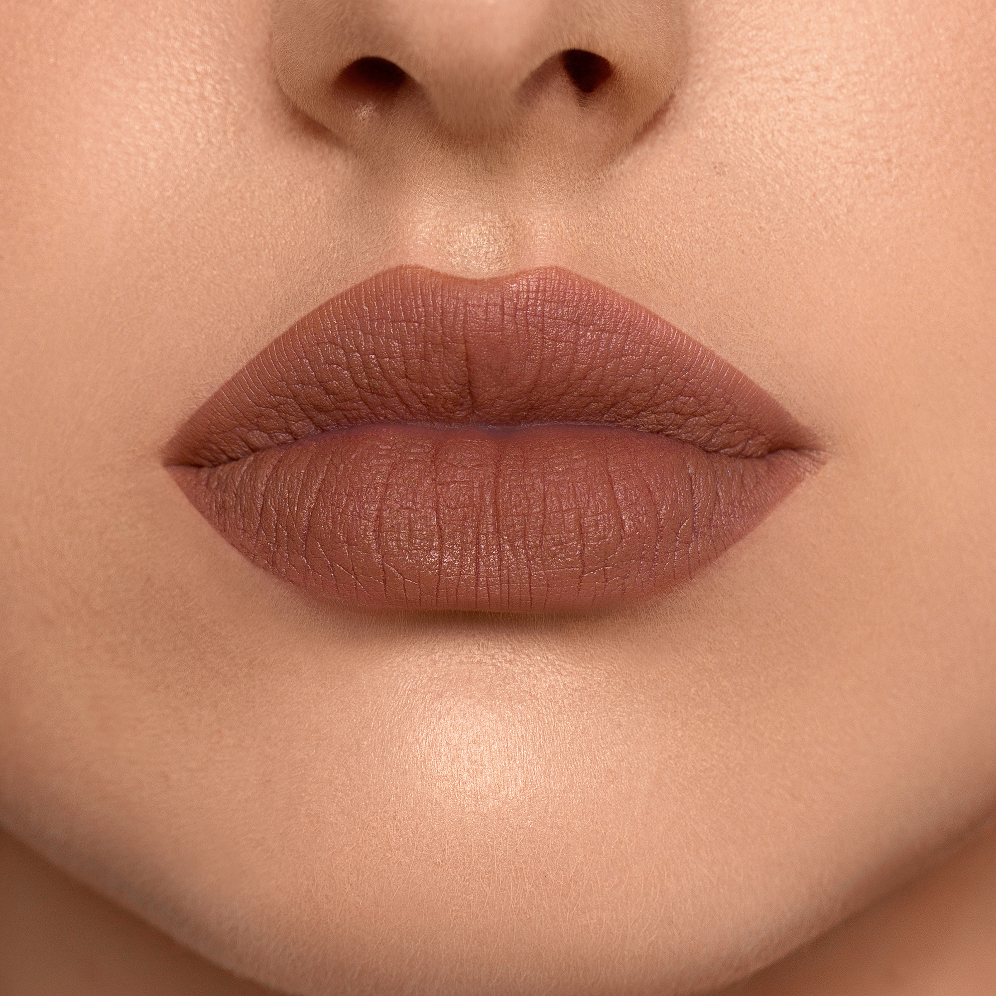 MONOCHROME MOMENT LIP CRAYON (L&Aacute;PIZ LABIAL)